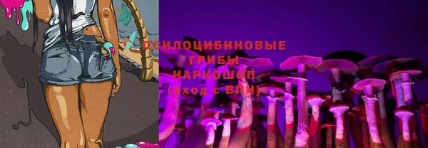 apvp Медвежьегорск