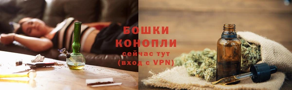 МДПВ Михайлов