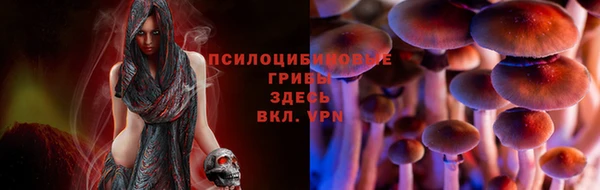 apvp Медвежьегорск