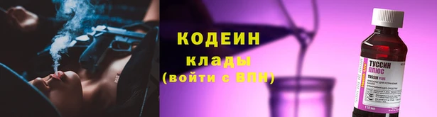 МДПВ Михайлов