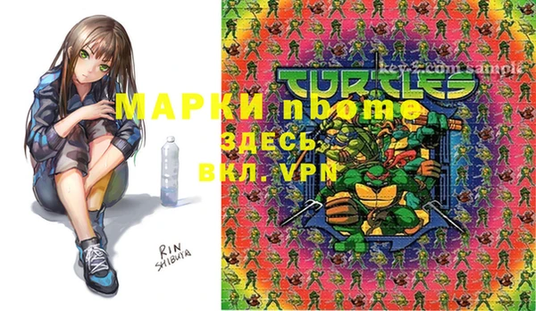 МДПВ Михайлов