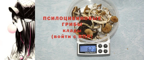 ALPHA PVP Михайловск